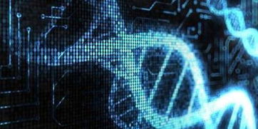 迄今最连续人类基因组组装完成 只用单一测序技术