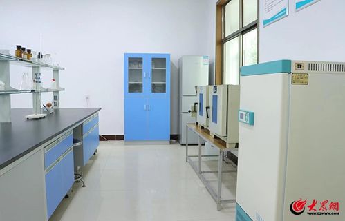 泰安 企业发挥主体作用 助力畜牧业高质量发展
