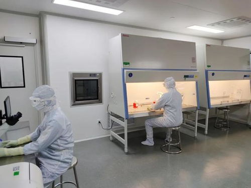 肝衰竭患者的福音 中国首个生物人工肝核心组件获批临床试验