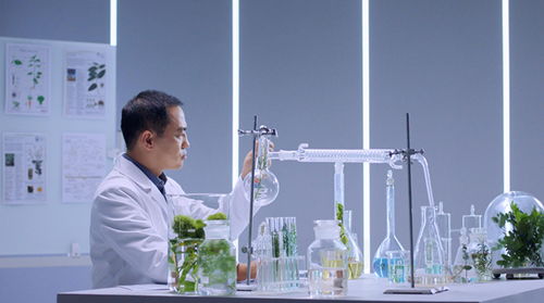 谷雨生物科技获上市辅导备案 科研实力助力其持续增长