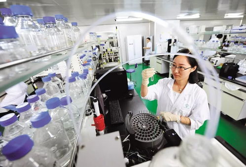 光谷 牧羊 瞪羚企业总数超900家,已成长出6家独角兽 9家上市公司