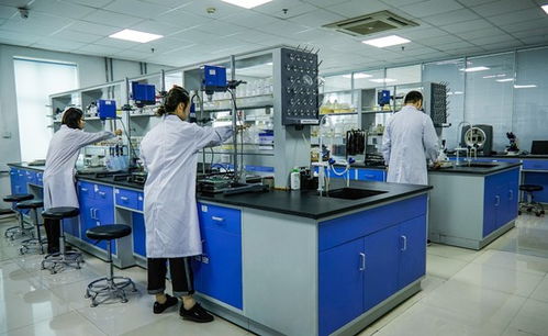 打破国外酶制剂的长期垄断 强微特 研发真实力深耕生物技术行业