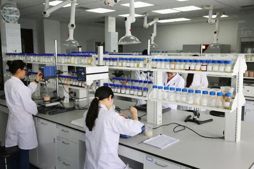 康婷 慧科技 科技赋能研发,锻造高质量产品