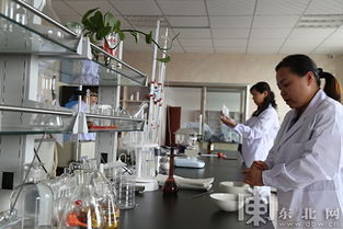 生物发酵让玉米瓤子变废为宝 助力我省农业转型升级