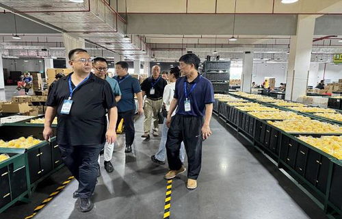 重庆潼南通过 中国生态柠檬之都 生态产品区域公用品牌评定