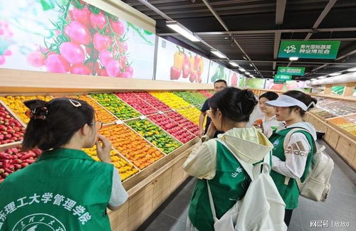 山东学子三下乡 探寻寿光农业科技,领略智慧种植魅力