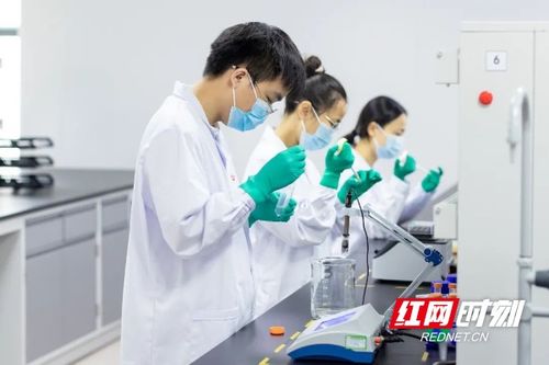 2025已过半 湖南 科技 的盲盒开出了什么