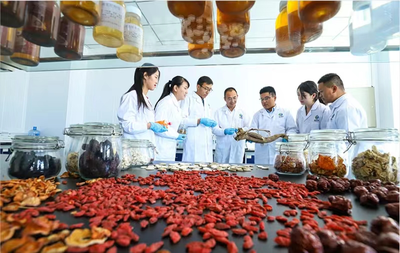 张掖市科学技术局推动生物科技技术研发的策略与路径