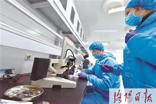 洛城生物科技加速器的组织器官再生技术研发热潮
