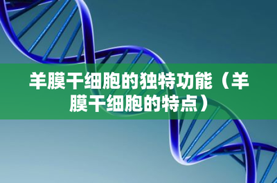 羊膜干细胞的独特功能及其在生物科技研发中的前景