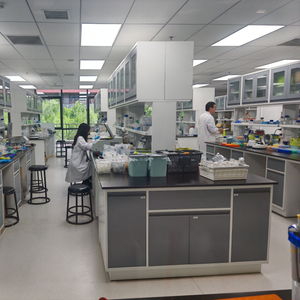 生物科技新突破 北京企业研发出零热量、味道纯正的糖
