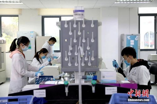 接种卡介苗或降低新冠肺炎风险？专家解析疫苗交叉保护与生物技术研发前景